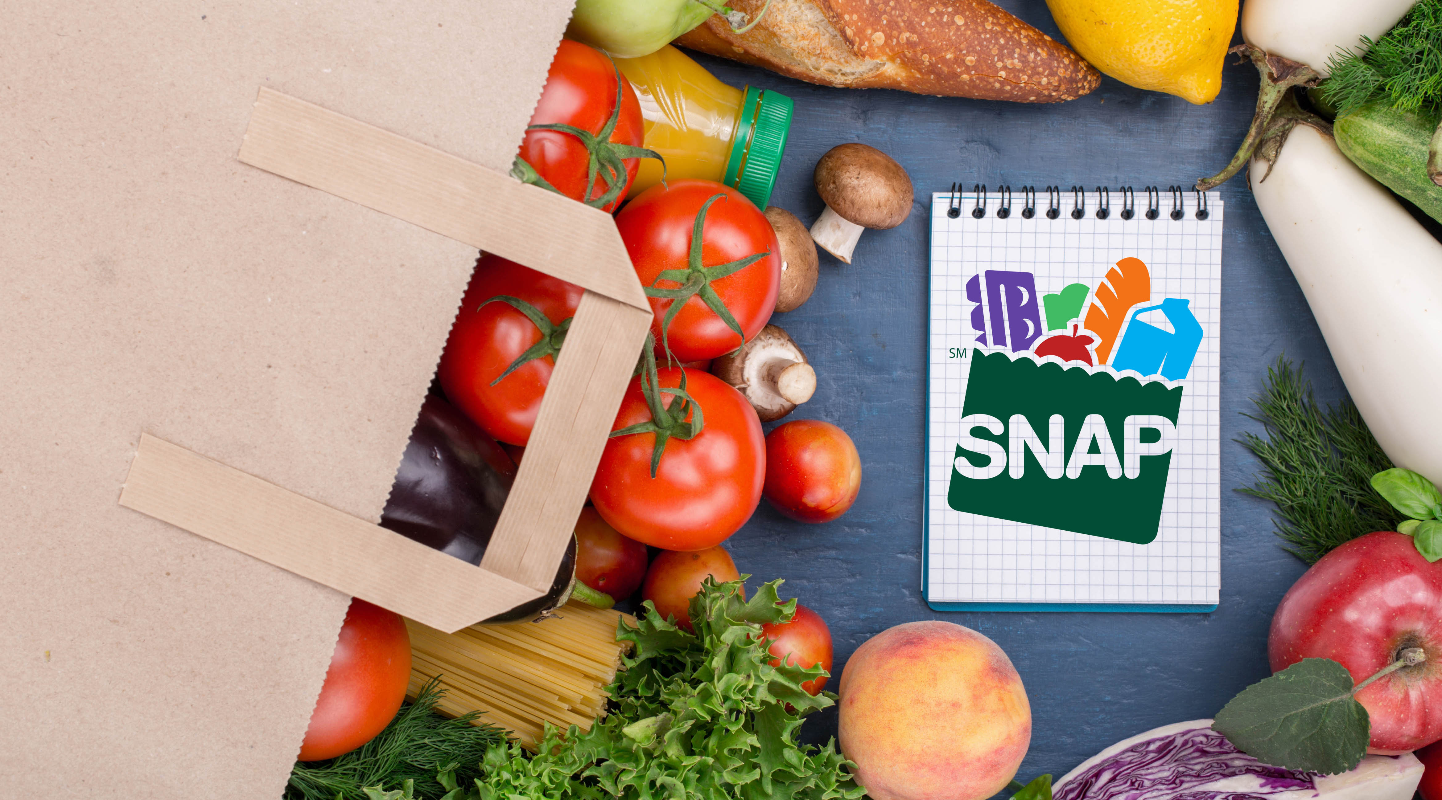 apply for snap benefits in south carolina